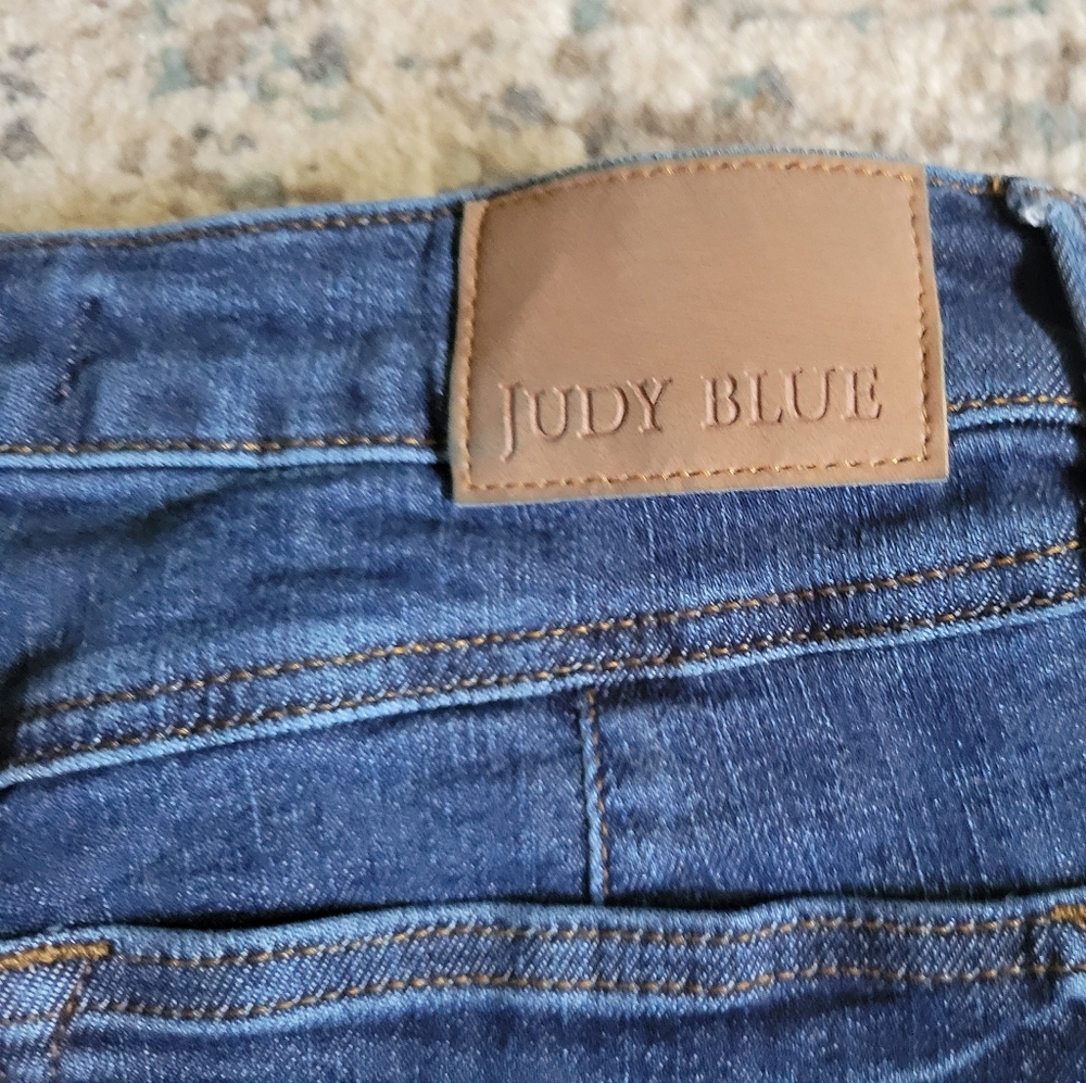 Judy Blue Skinny Fit size 11/30